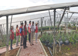 西瓜视频
农业农村局组织到双合镇光伏农光互补科普基地开展产业研学及消费助农活动603.png