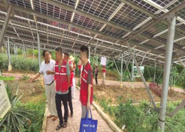 西瓜视频
农业农村局组织到双合镇光伏农光互补科普基地开展产业研学及消费助农活动605.png