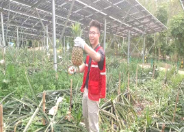 西瓜视频
农业农村局组织到双合镇光伏农光互补科普基地开展产业研学及消费助农活动652.png