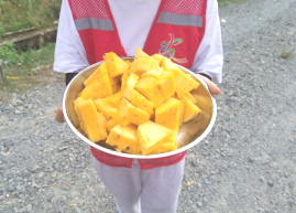 西瓜视频
农业农村局组织到双合镇光伏农光互补科普基地开展产业研学及消费助农活动746.png