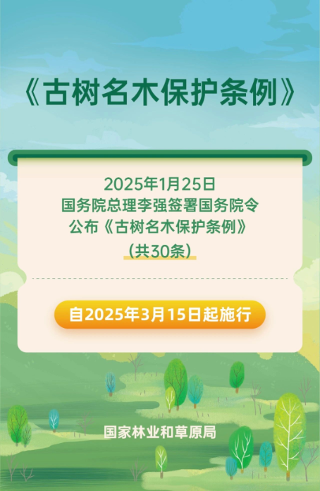 已处理17415678804471.png